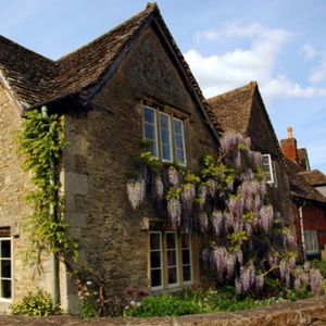 Make an offer !! 🌾🌳🍃